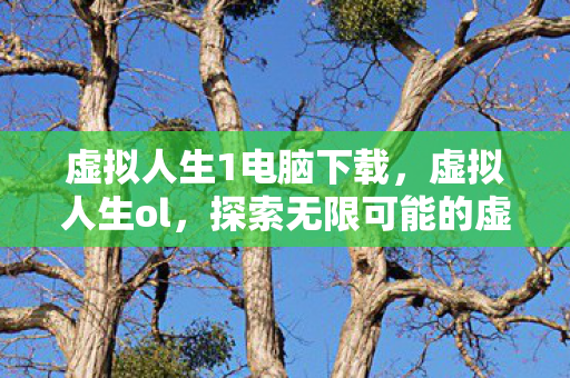 虚拟人生1电脑下载，虚拟人生ol，探索无限可能的虚拟世界