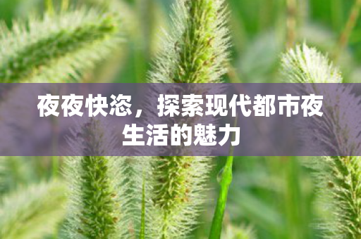 夜夜快恣,探索现代都市夜生活的魅力 夜夜快恣,探索现代都市夜生活的魅力