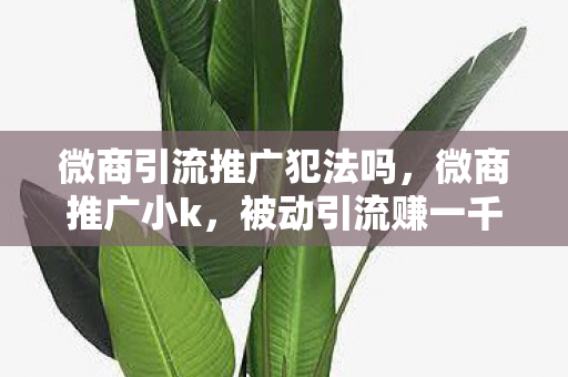 微商引流推广犯法吗，微商推广小k，被动引流赚一千的实战攻略