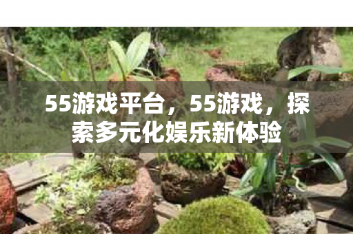 55游戏平台，55游戏，探索多元化娱乐新体验