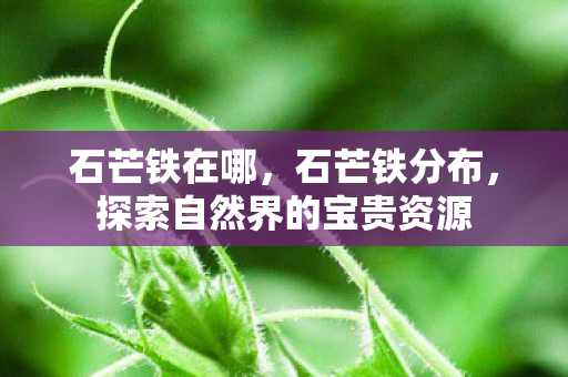 石芒铁在哪，石芒铁分布，探索自然界的宝贵资源