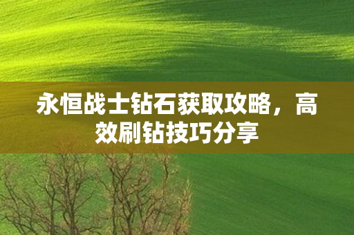 永恒战士钻石获取攻略,高效刷钻技巧分享 永恒战士钻石获取攻略,高效刷钻技巧分享