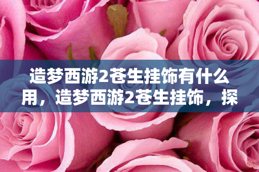 造梦西游2苍生挂饰有什么用，造梦西游2苍生挂饰，探寻游戏中的神秘宝藏