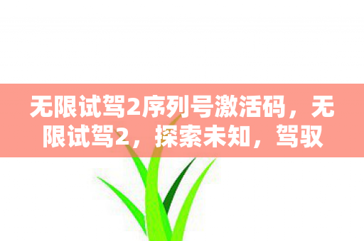无限试驾2序列号激活码，无限试驾2，探索未知，驾驭未来