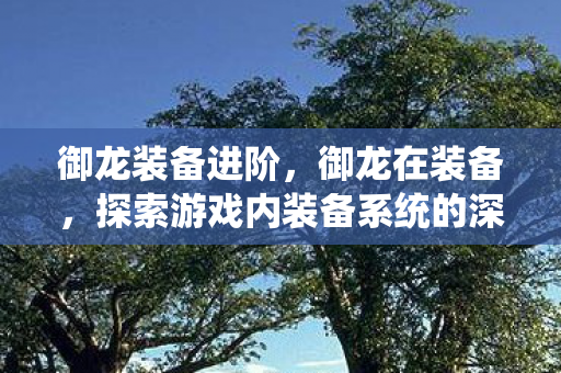御龙装备进阶，御龙在装备，探索游戏内装备系统的深度与魅力