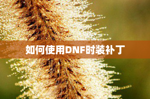 如何使用DNF时装补丁 如何使用DNF时装补丁