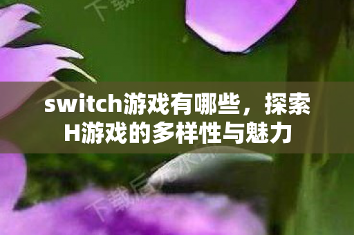 switch游戏有哪些，探索H游戏的多样性与魅力