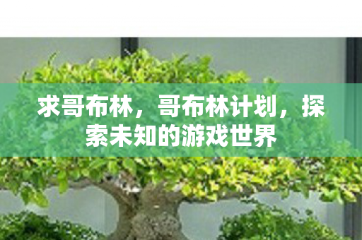 求哥布林，哥布林计划，探索未知的游戏世界