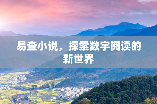 易查小说,探索数字阅读的新世界 易查小说,探索数字阅读的新世界