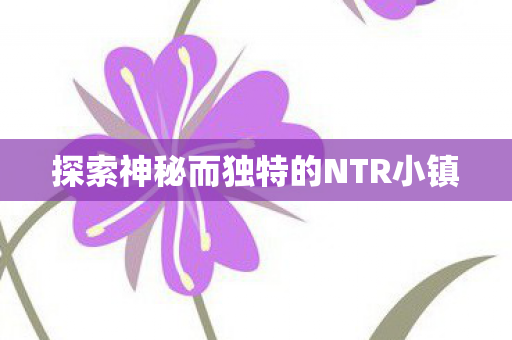 探索神秘而独特的NTR小镇 探索神秘而独特的NTR小镇