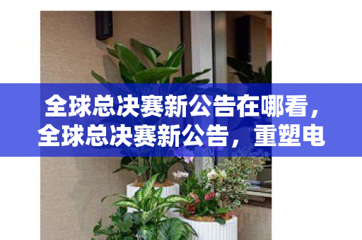 全球总决赛新公告在哪看，全球总决赛新公告，重塑电竞生态，捍卫官方权威