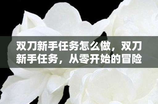 双刀新手任务怎么做，双刀新手任务，从零开始的冒险之旅