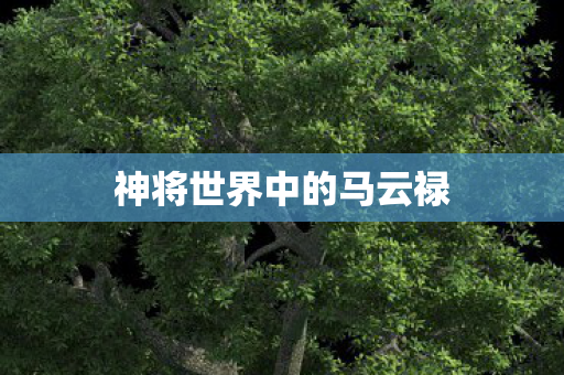 神将世界中的马云禄 神将世界中的马云禄