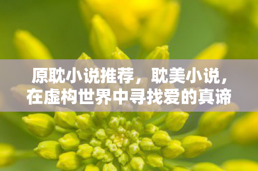 原耽小说推荐，耽美小说，在虚构世界中寻找爱的真谛