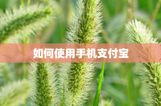 如何使用手机支付宝 如何使用手机支付宝