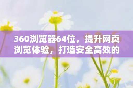 360浏览器64位，提升网页浏览体验，打造安全高效的网络环境