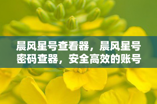 晨风星号查看器，晨风星号密码查器，安全高效的账号管理工具