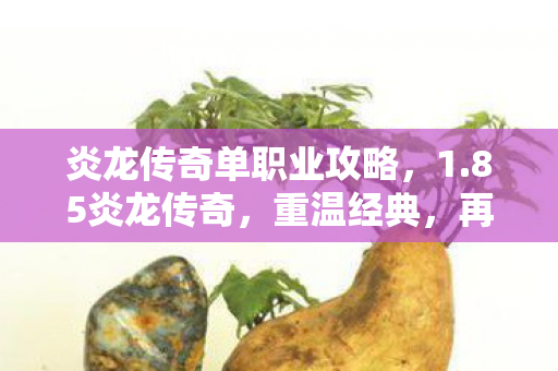 炎龙传奇单职业攻略，1.85炎龙传奇，重温经典，再燃激情