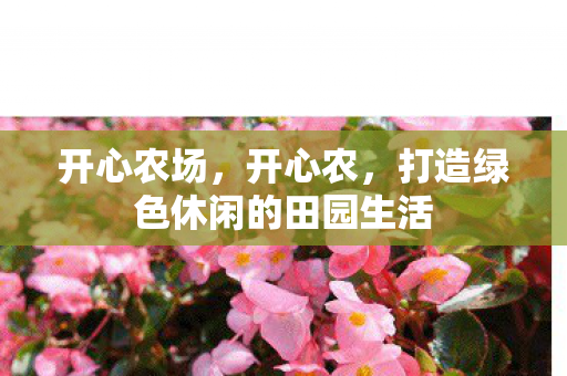 开心农场，开心农，打造绿色休闲的田园生活