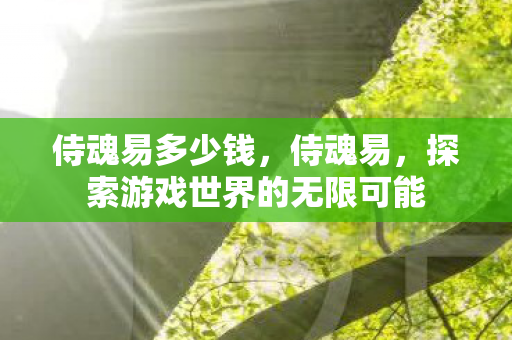 侍魂易多少钱，侍魂易，探索游戏世界的无限可能
