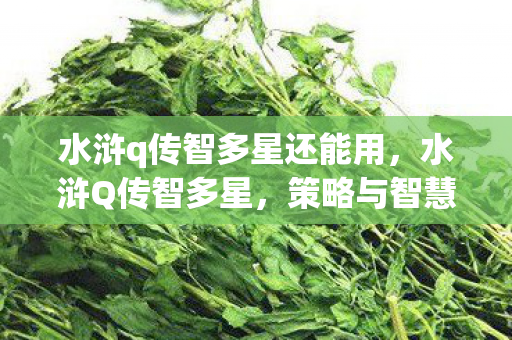 水浒q传智多星还能用，水浒Q传智多星，策略与智慧的碰撞