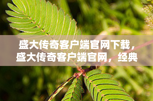 盛大传奇客户端官网下载，盛大传奇客户端官网，经典再现，传奇永恒