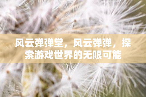 风云弹弹堂，风云弹弹，探索游戏世界的无限可能