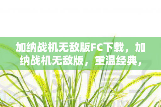 加纳战机无敌版FC下载，加纳战机无敌版，重温经典，畅享无限战斗