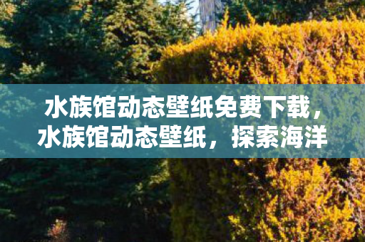 水族馆动态壁纸免费下载，水族馆动态壁纸，探索海洋的梦幻之旅