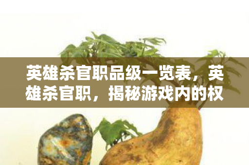 英雄杀官职品级一览表，英雄杀官职，揭秘游戏内的权力与荣耀