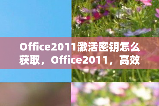Office2011激活密钥怎么获取，Office2011，高效办公的得力助手