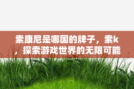 索康尼是哪国的牌子，索k，探索游戏世界的无限可能