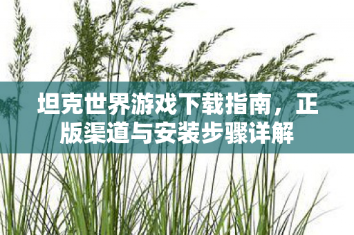 坦克世界游戏下载指南，正版渠道与安装步骤详解