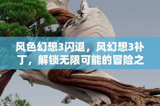 风色幻想3闪退，风幻想3补丁，解锁无限可能的冒险之旅