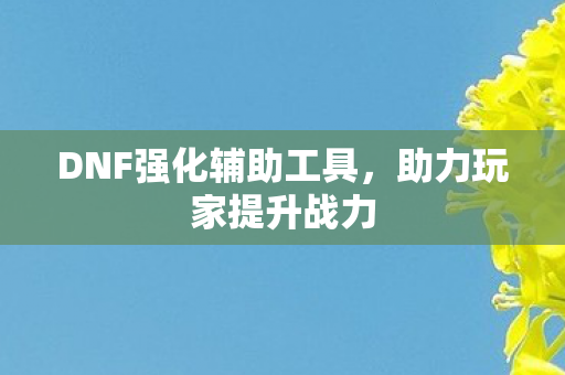DNF强化辅助工具,助力玩家提升战力 DNF强化辅助工具,助力玩家提升战力