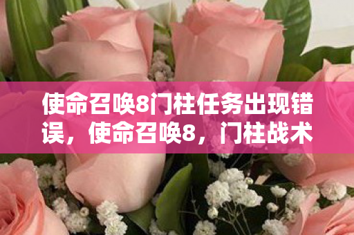 使命召唤8门柱任务出现错误，使命召唤8，门柱战术的奥秘