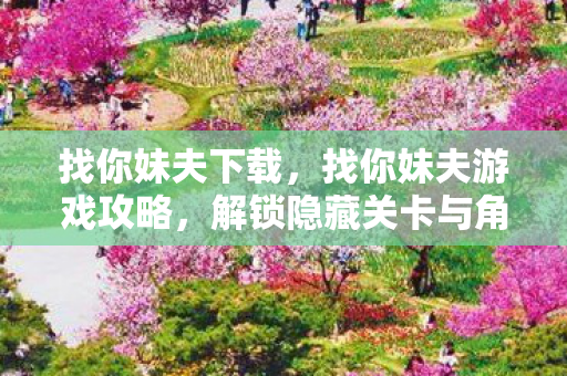 找你妹夫下载，找你妹夫游戏攻略，解锁隐藏关卡与角色全解析