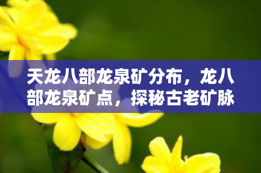 天龙八部龙泉矿分布，龙八部龙泉矿点，探秘古老矿脉的传奇故事