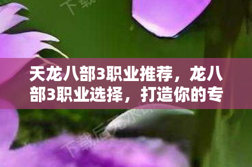 天龙八部3职业推荐，龙八部3职业选择，打造你的专属传奇