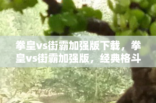 拳皇vs街霸加强版下载，拳皇vs街霸加强版，经典格斗游戏的碰撞与融合