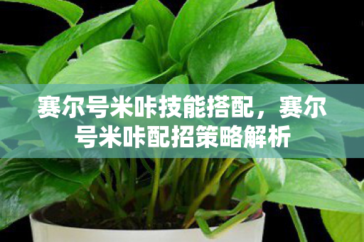 赛尔号米咔技能搭配，赛尔号米咔配招策略解析