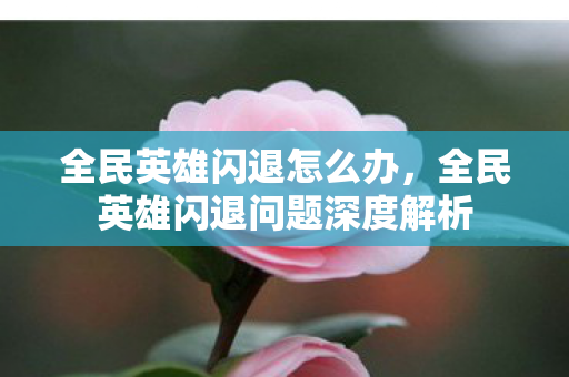 全民英雄闪退怎么办,全民英雄闪退问题深度解析 全民英雄闪退怎么办,全民英雄闪退问题深度解析