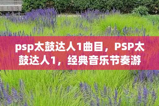 psp太鼓达人1曲目，PSP太鼓达人1，经典音乐节奏游戏的魅力与传承