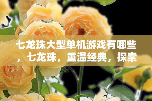 七龙珠大型单机游戏有哪些，七龙珠，重温经典，探索龙珠世界的单机之旅