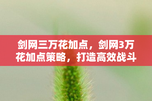 剑网三万花加点，剑网3万花加点策略，打造高效战斗与生存能力