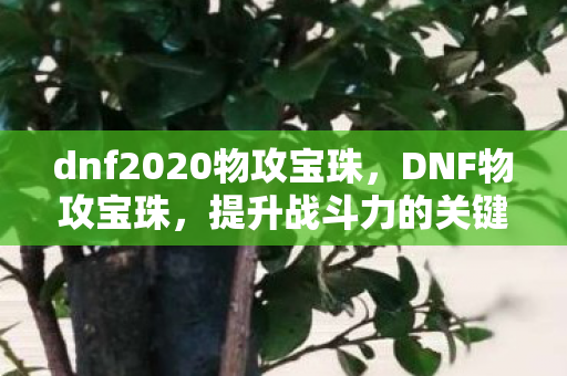 dnf2020物攻宝珠，DNF物攻宝珠，提升战斗力的关键
