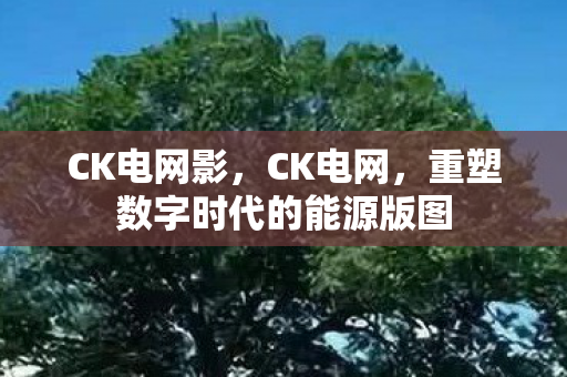 CK电网影，CK电网，重塑数字时代的能源版图