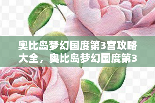 奥比岛梦幻国度第3宫攻略大全，奥比岛梦幻国度第3宫攻略