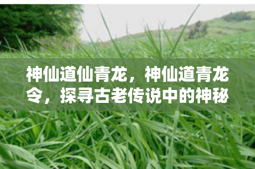 神仙道仙青龙，神仙道青龙令，探寻古老传说中的神秘令牌