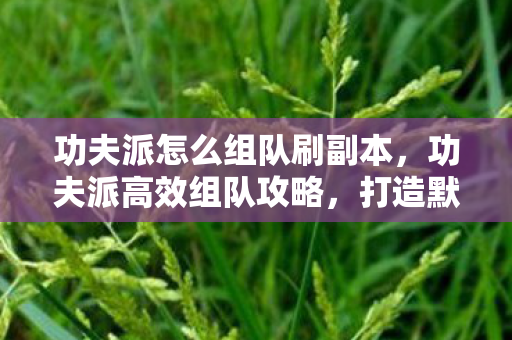 功夫派怎么组队刷副本，功夫派高效组队攻略，打造默契团队，共闯江湖！